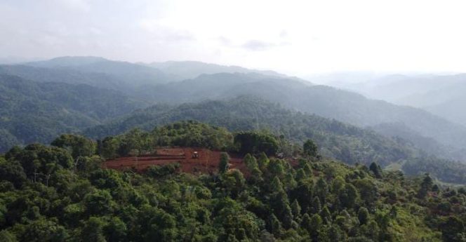 Lokasi bukit Pasirpeti, Desa Cikamunding, Kecamatan Cilograng, Kabupaten Lebak yang akan disulap menjadi ekowisata. (Istimewa)