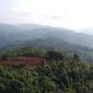 Lokasi bukit Pasirpeti, Desa Cikamunding, Kecamatan Cilograng, Kabupaten Lebak yang akan disulap menjadi ekowisata. (Istimewa)