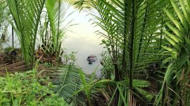 Mayat tanpa identitas ditemukan mengapung di sungai Cilemer. (Ist)