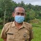 FOTO ILUSTRASI. Kepala Dinas Pertanian Kabupaten Lebak, Rahmat Yuniar menyatakan produksi beras di Kabupaten Lebak surplus 75.169 ton. (Istimewa)