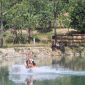 Salah satu pengunjung saat menjajal flying fox di Situ Cikamuning. (Istimewa)
