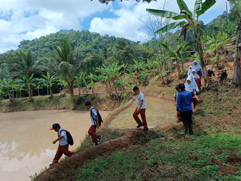 Para pelajar SDN 1 dan 3 Cikamunding saat akan pergi sekolah. Mereka terpaksa melewati persawahan dan hutan agar lebih cepat datang ke sekolah. (Istimewa)