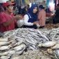 Pedagang ikan asin di Pasar Rangkasbitung. Mendekati pergantian akhir tahun harga ikan asin mengalami lonjakan. (Istimewa)