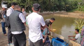 Tim Dinas Perikanan Kabupaten Lebak saat mendampingi proses penebaran 21 ribu benih ikan di Desa Pasir Kecapi, Kecamatan Maja. (Istimewa)