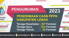 Pengumuman Penerimaan PPPK 2023. 