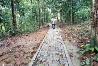 Potret jalan lingkungan di Desa Cibarani, Kecamatan Cisata.