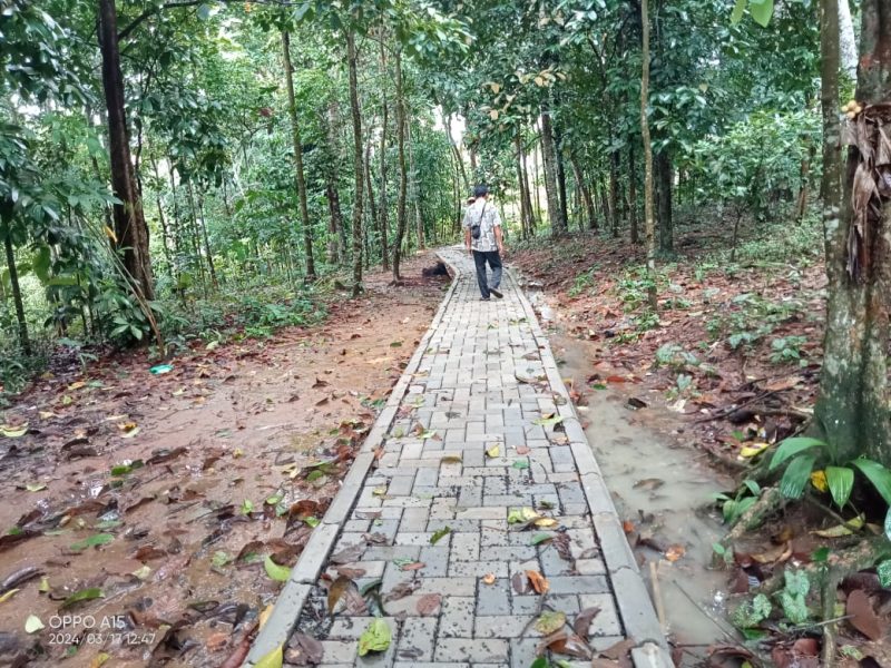 Potret jalan lingkungan di Desa Cibarani, Kecamatan Cisata.