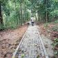 Potret jalan lingkungan di Desa Cibarani, Kecamatan Cisata.