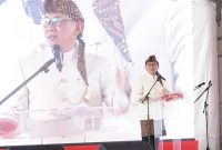 Walikota Cilegon, Helldy Agustian. (Istimewa)