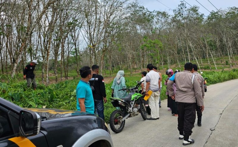 Pihak kepolisian saat melakukan olah TKP perampokan di perkebunan karet. (Istimewa)