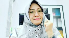 dr. Hj Iis Istifaiyatuddianah, Wakil Direktur Pelayanan RSDP Serang, MARS FISqua