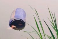 Mayat wanita di dalam tong biru mengambang di Sungai Cisadane, Tangerang (Istimewa)