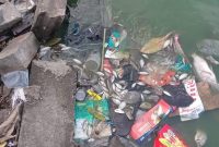 Ikan mati di situ cangkring kel, periuk jaya Tanggerang, (eks/Dailyhits).