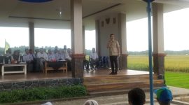Bupati Lebak, Hasbi Jayabaya saat memberikan sambutan dalam acara panen raya padi, di Desa Tambakbaya, Kecamatan Cibadak, Senin (20/8/2025). (Istimewa)
