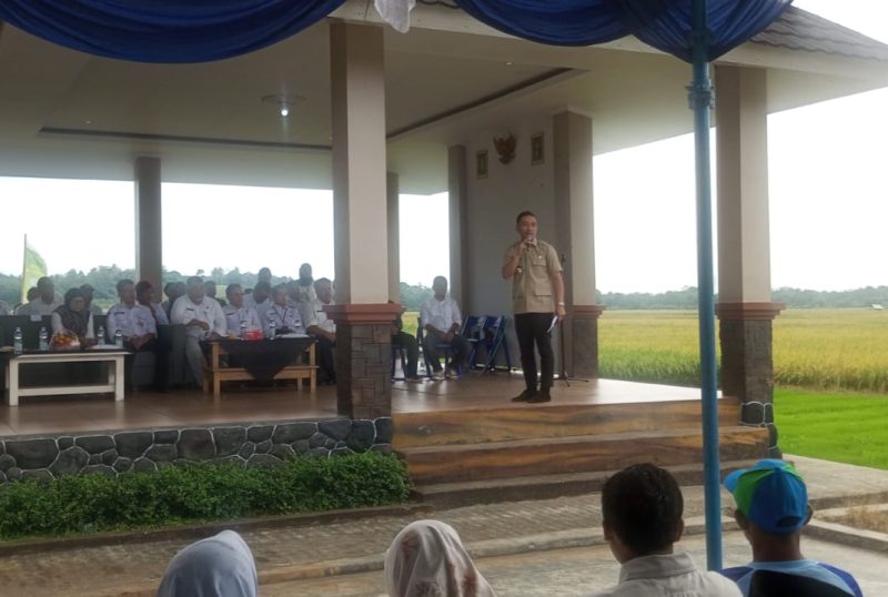 Bupati Lebak, Hasbi Jayabaya saat memberikan sambutan dalam acara panen raya padi, di Desa Tambakbaya, Kecamatan Cibadak, Senin (20/8/2025). (Istimewa)