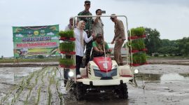 Gerakan tanam padi menggunakan mesin moderen, bupati serang bersama TNI dan stap Memtri di Desa Marhasana, Kramat watu Serang, (29/9) foto : Dirhat/ Dailyhits