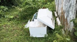 Peti Jenazah ditemukan tergeletak di Kebun karet, Kecamatan Cikulur, Kabupaten Lebak. (Istimewa)