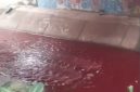 Kondisi air kali di Serpong tepatnya di Jalan Artowijoyo berwarna merah menyerupai darah. (FOTO Istimewa)