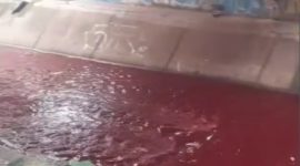 Kondisi air kali di Serpong tepatnya di Jalan Artowijoyo berwarna merah menyerupai darah. (FOTO Istimewa)