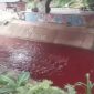 Kondisi air kali di Serpong tepatnya di Jalan Artowijoyo berwarna merah menyerupai darah. (FOTO Istimewa)