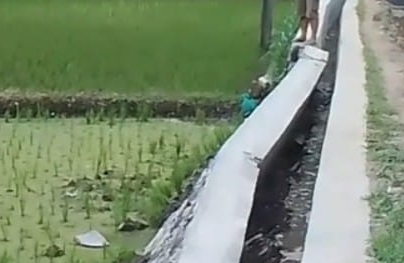 Kondisi proyek irigasi yang roboh. (FOTO Tangkap Layar video)