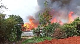 Kandang ayam di Kecamatan Sajira, Kabupaten Lebak ludes diamuk si jago merah. (FOTO Tangkap Layar video)