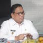 Wakil Bupati Lebak, Amir Hamzah mengatakan pemerintah telah mengusulkan WPR kepada kementerian ESDM sebagai upaya memberikan legalitas kepada para penambang. (Istimewa)