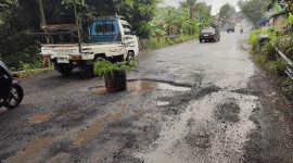 Jalan Pandeglang - Labuan Rusak. (Istimewa)