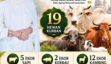 Ratu Ageng Rekawati menyalurkan 19 Hewan kurban pada Idul Adha 1447 H. (DAILYHITS)