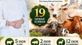 Ratu Ageng Rekawati menyalurkan 19 Hewan kurban pada Idul Adha 1447 H. (DAILYHITS)