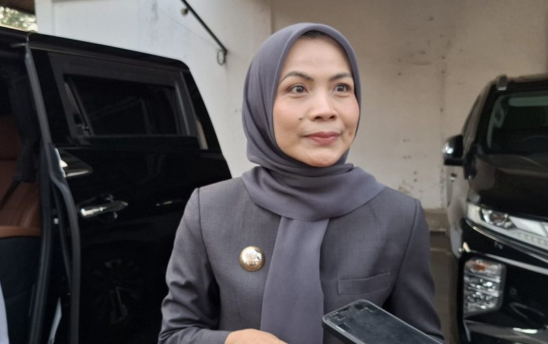 Bupati Serang, Ratu Rachmatuzakiyah, saat memberikan keterangan kepada pers, Dok (Dailyhits.id)