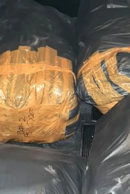 Penyelundupan 32 Ribu Benih Lobster di Lebak Terbongkar, Sukabumi Jadi Tujuan Pengiriman